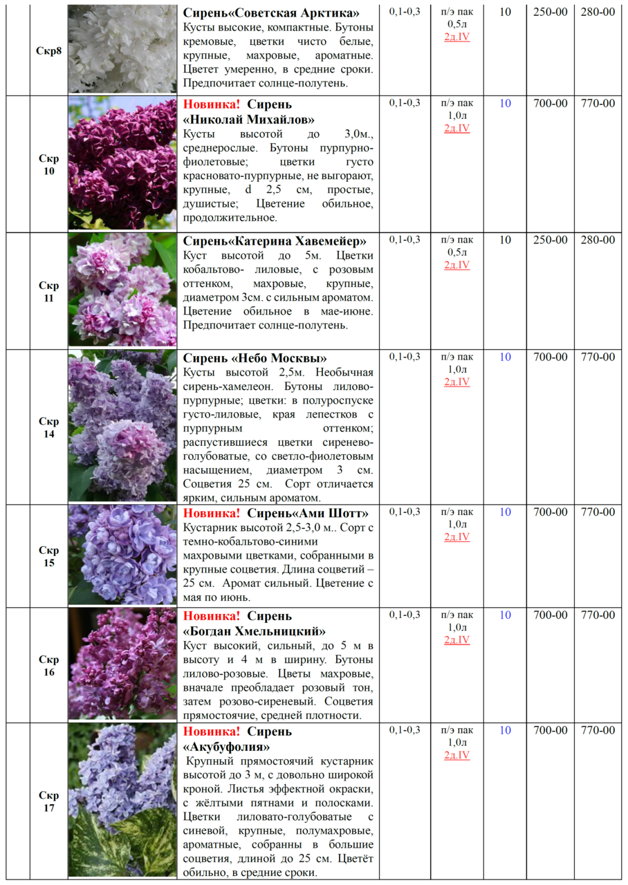 Декор-лиственные деревья,кустарники