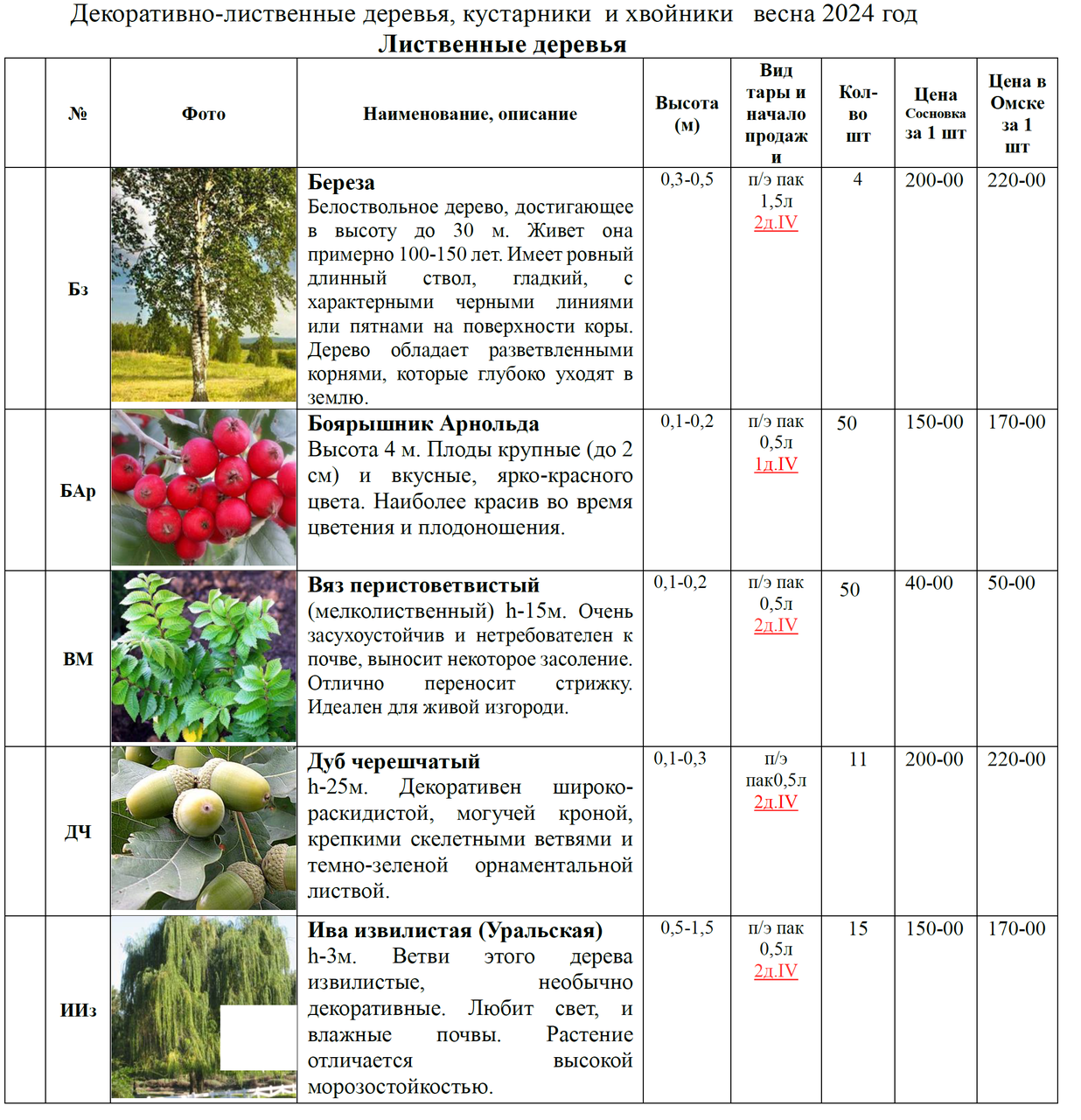 Декор-лиственные деревья,кустарники