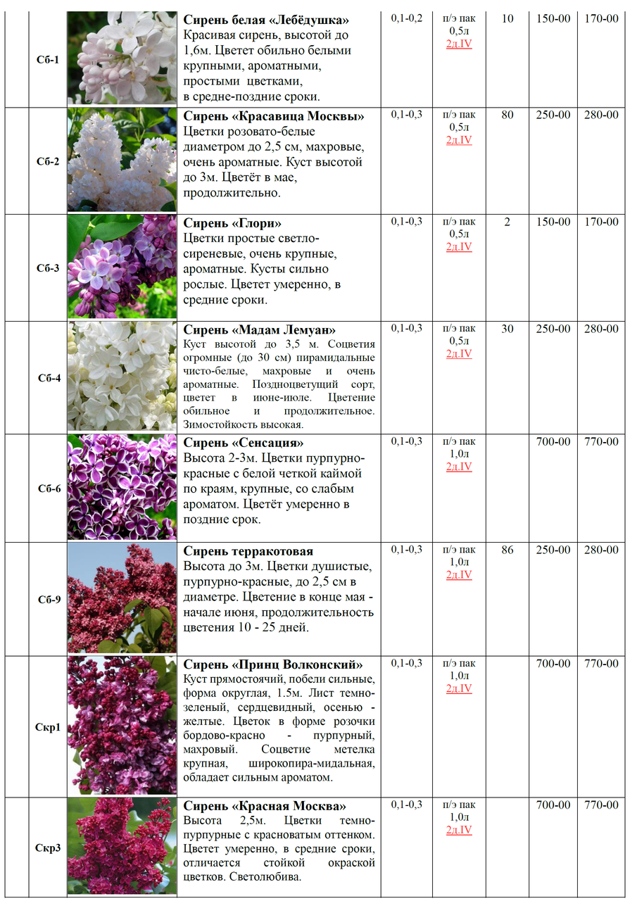 Декор-лиственные деревья,кустарники